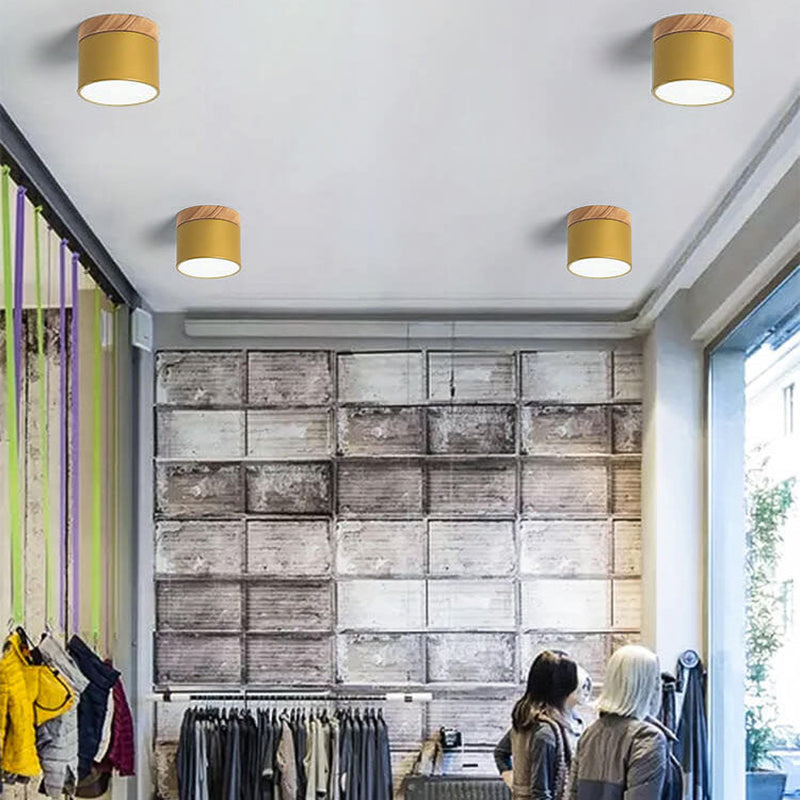 Scandinavian LED Flush Mount Ceiling Light