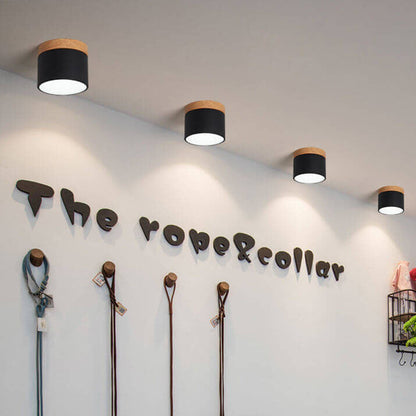 Scandinavian LED Flush Mount Ceiling Light