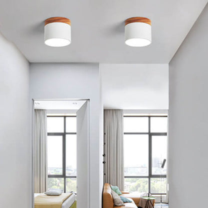 Scandinavian LED Flush Mount Ceiling Light