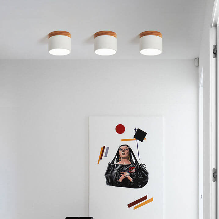 Scandinavian LED Flush Mount Ceiling Light