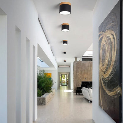 Scandinavian LED Flush Mount Ceiling Light