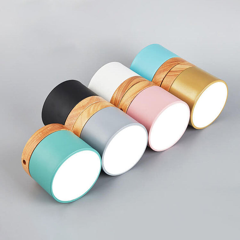 Scandinavian LED Flush Mount Ceiling Light