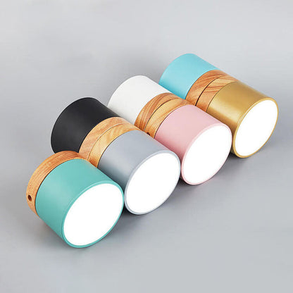 Scandinavian LED Flush Mount Ceiling Light