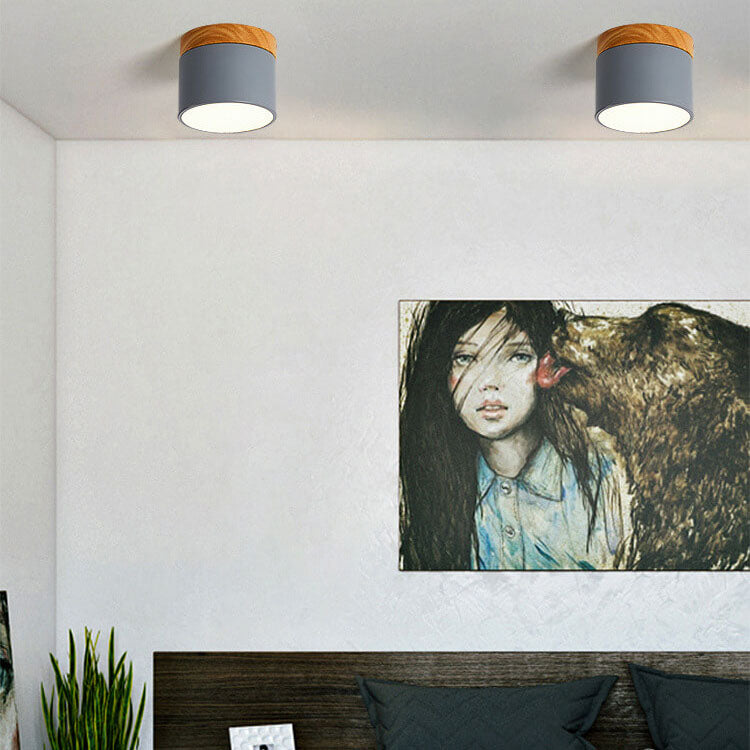 Scandinavian LED Flush Mount Ceiling Light
