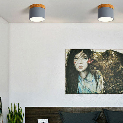 Scandinavian LED Flush Mount Ceiling Light
