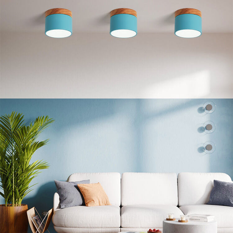 Scandinavian LED Flush Mount Ceiling Light