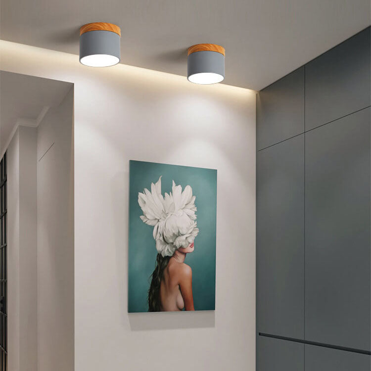 Scandinavian LED Flush Mount Ceiling Light