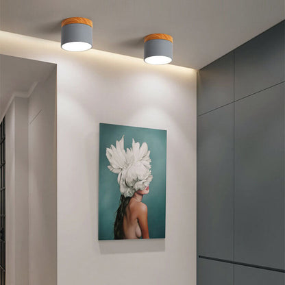Scandinavian LED Flush Mount Ceiling Light