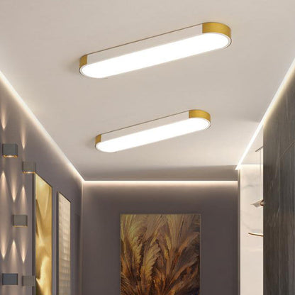 Modern Minimalist LED Flush Mount Ceiling Light