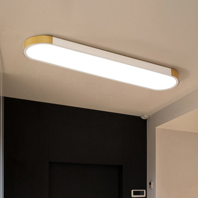 Modern Minimalist LED Flush Mount Ceiling Light
