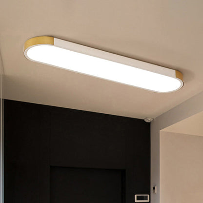 Modern Minimalist LED Flush Mount Ceiling Light