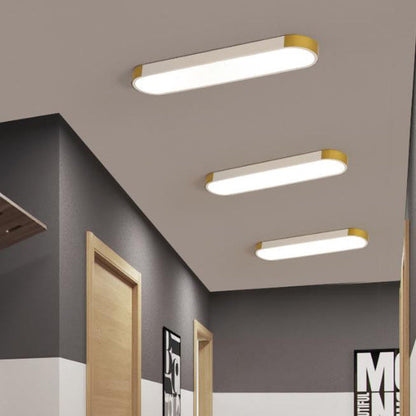 Modern Minimalist LED Flush Mount Ceiling Light