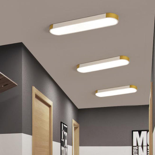 Modern Minimalist LED Flush Mount Ceiling Light
