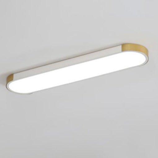 Modern Minimalist LED Flush Mount Ceiling Light