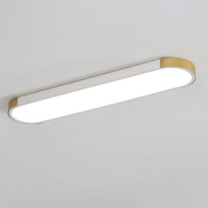Modern Minimalist LED Flush Mount Ceiling Light