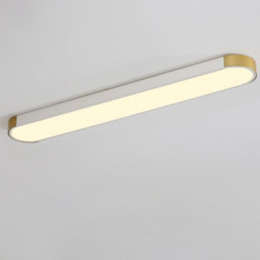 Modern Minimalist LED Flush Mount Ceiling Light