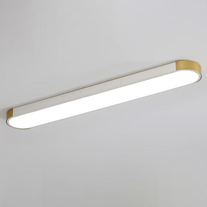Modern Minimalist LED Flush Mount Ceiling Light