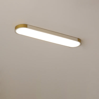 Modern Minimalist LED Flush Mount Ceiling Light