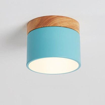 Scandinavian LED Flush Mount Ceiling Light