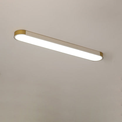 Modern Minimalist LED Flush Mount Ceiling Light