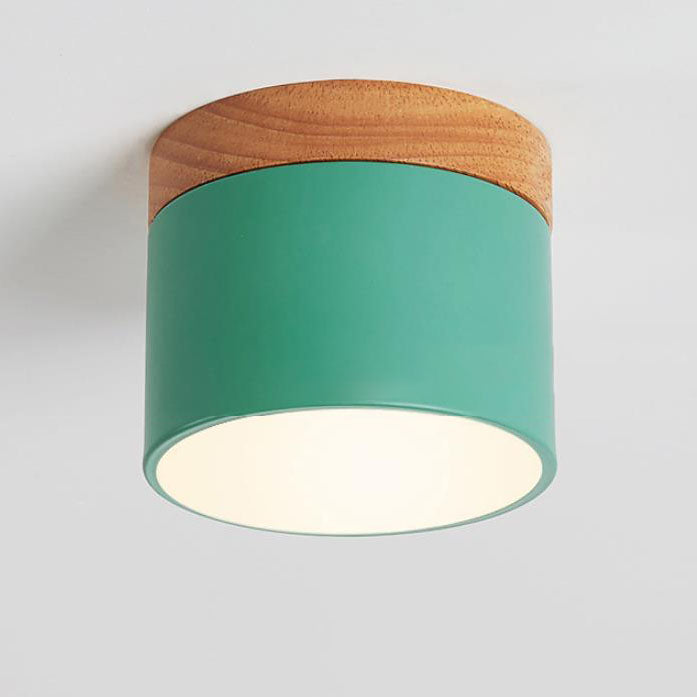 Scandinavian LED Flush Mount Ceiling Light