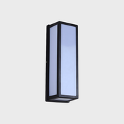 Black Outdoor LED Wall Light