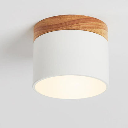 Scandinavian LED Flush Mount Ceiling Light