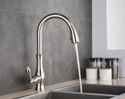 Kitchen Sink Mixer Tap With Pull-Out Spray | Single Lever High Arc