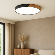 Ceiling Light | Modern Flush Mount Soft Ambient Lighting For Bedroom Living Room Hallway