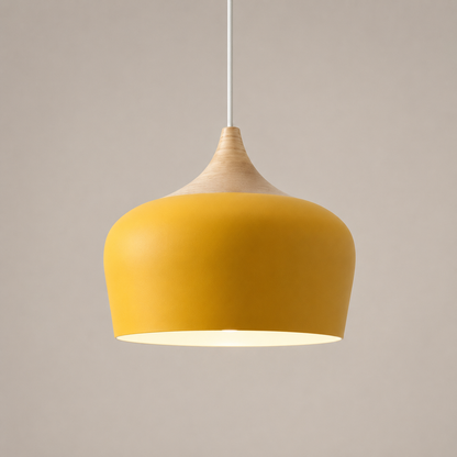 Ceiling Pendant Light | Adjustable Height Focused Downlighting
