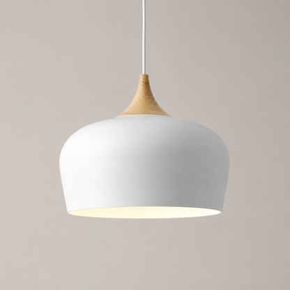 Ceiling Pendant Light | Adjustable Height Focused Downlighting