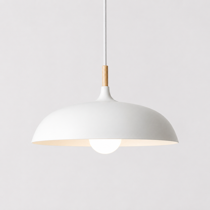 Ceiling Pendant Light | Adjustable Height Focused Downlighting