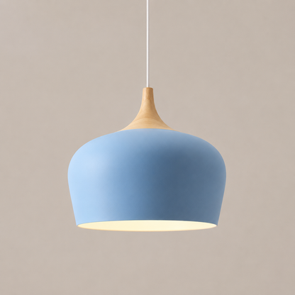 Ceiling Pendant Light | Adjustable Height Focused Downlighting