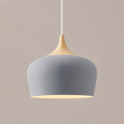 Ceiling Pendant Light | Adjustable Height Focused Downlighting