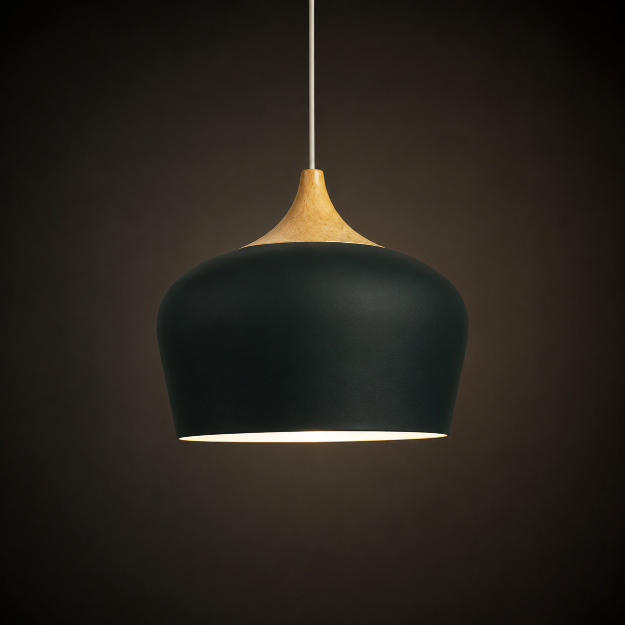 Ceiling Pendant Light | Adjustable Height Focused Downlighting
