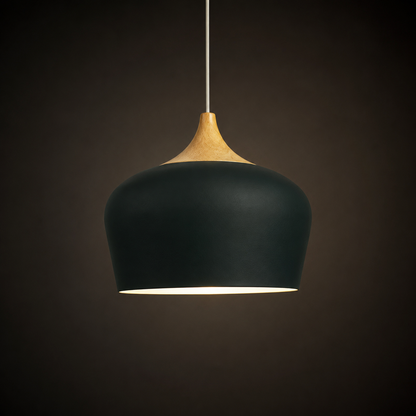 Ceiling Pendant Light | Adjustable Height Focused Downlighting