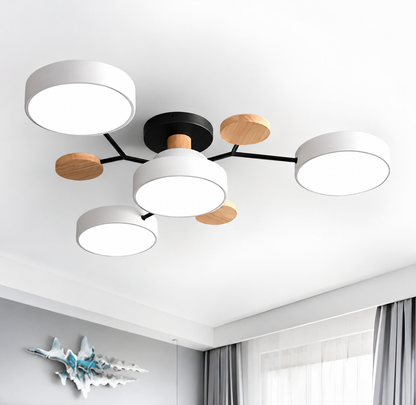 LED Ceiling Light | Multi Head Flush Mount For Bedroom Living Room