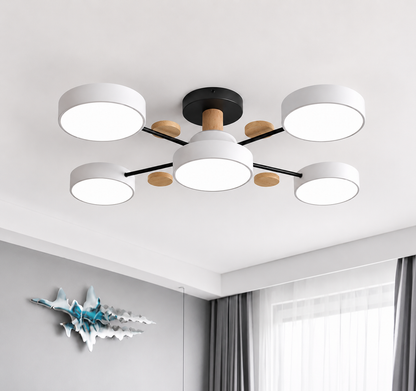 LED Ceiling Light | Multi Head Flush Mount For Bedroom Living Room