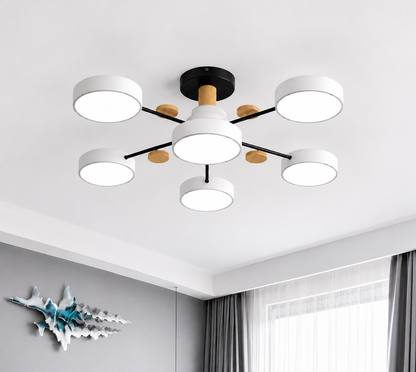 LED Ceiling Light | Multi Head Flush Mount For Bedroom Living Room