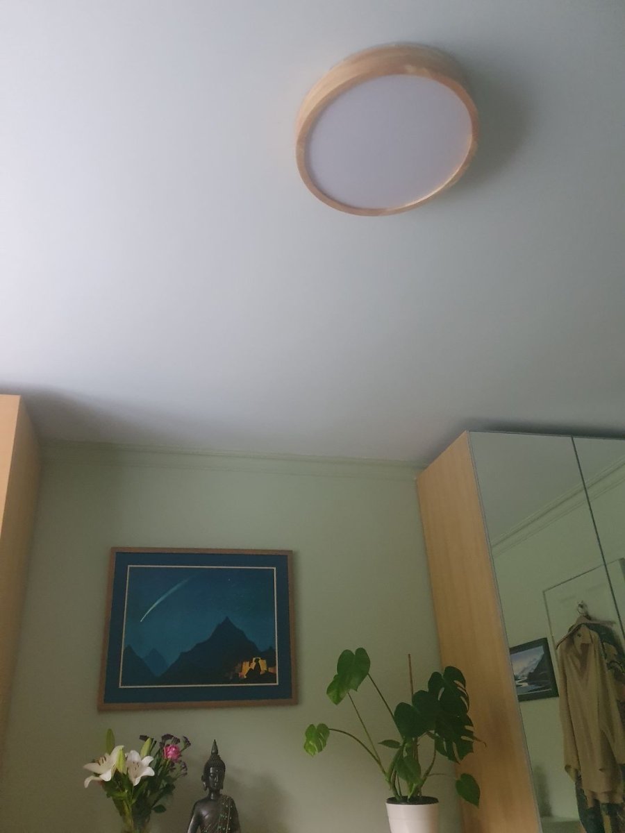 Round Ceiling Light | Scandinavian Flush Mount For Kitchen Living Room Dining