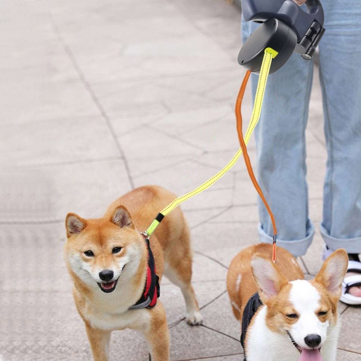 Double Retractable Dog Lead With LED Torch | Two Dogs Tangle Free 3m Each