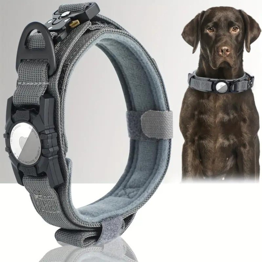 Dog Collar with Tracker Holder | Adjustable for Medium and Large Dogs