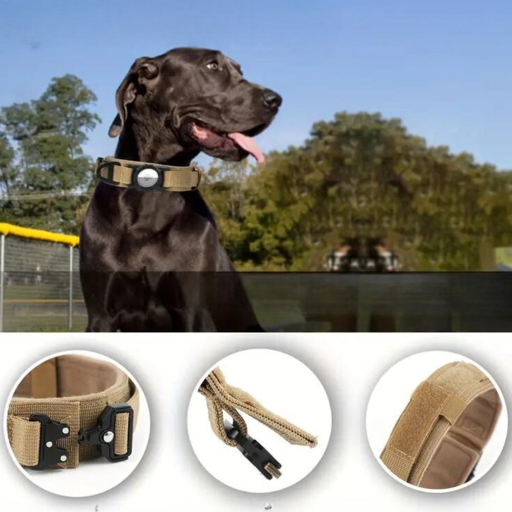 Dog Collar with Tracker Holder | Adjustable for Medium and Large Dogs