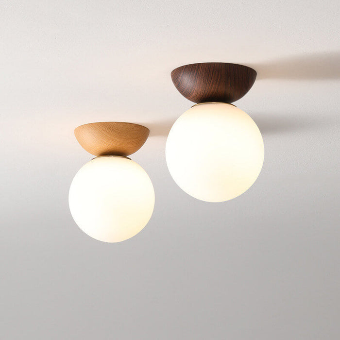 Globe Ceiling Light | Modern Flush Mount
