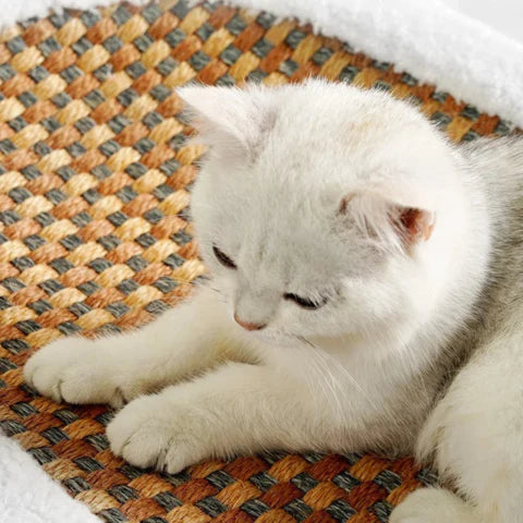 Cat Bed With Scratching Pad | Oval Plush Pet Lounger For Indoor