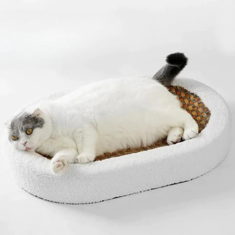 Cat Bed With Scratching Pad | Oval Plush Pet Lounger For Indoor