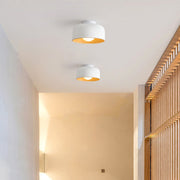 Modern Ceiling Light | Flush Mount for Hallway Living Room Bedroom