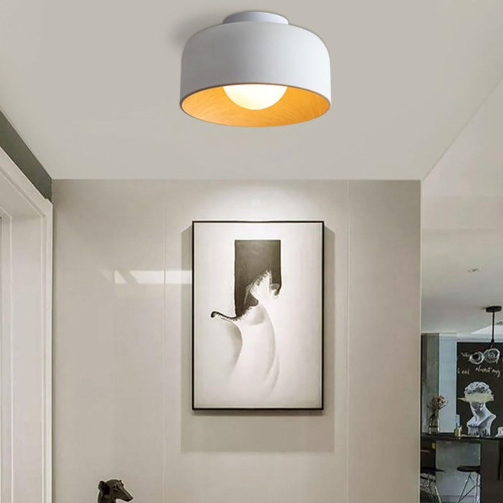 Modern Ceiling Light | Flush Mount for Hallway Living Room Bedroom
