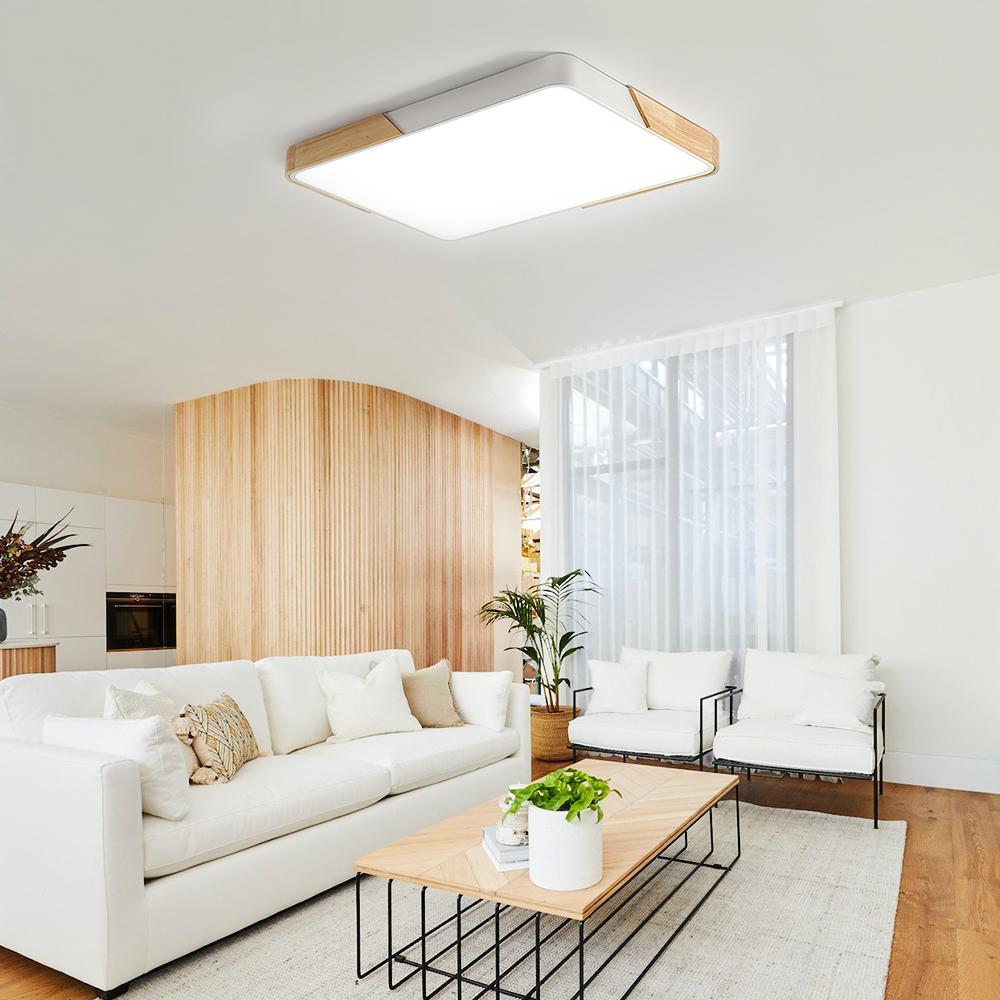 Ceiling Light | Modern Flush Mount For Kitchen Living Room Bedroom