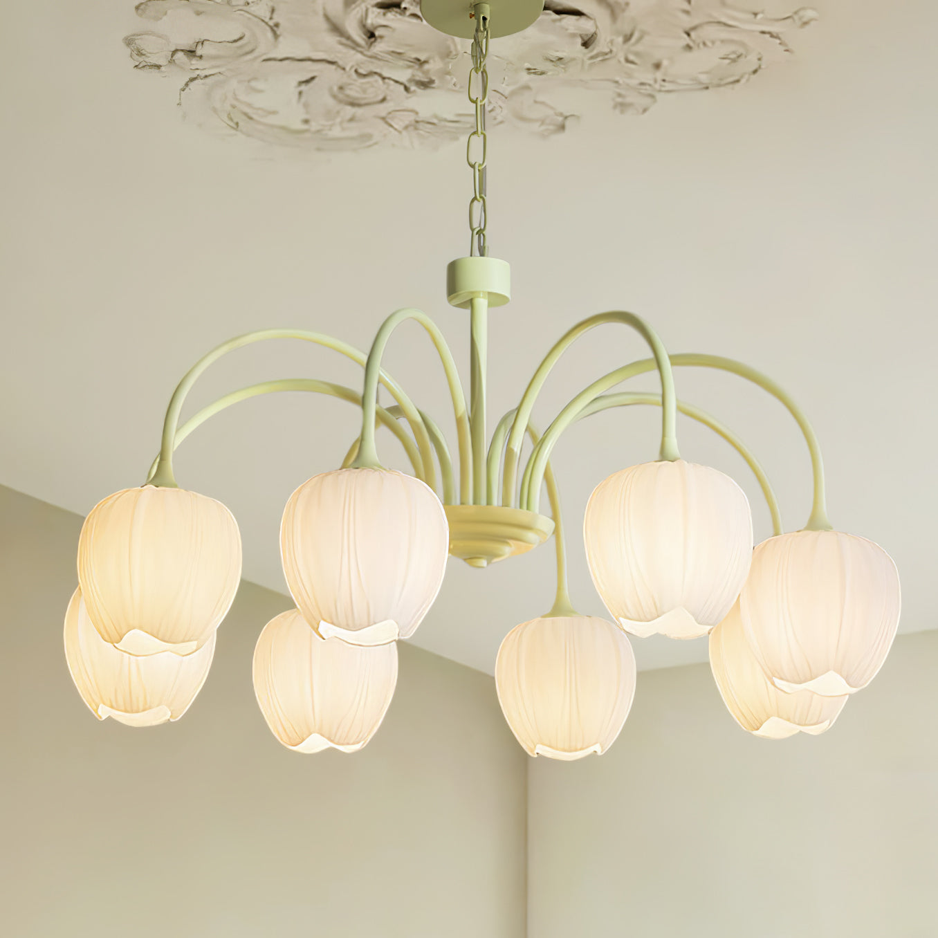 Tulip Chandelier | Living Room Dining Room Bedroom